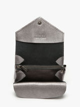 Porte-monnaie Cuir Etrier Argent etincelle irisee EETI5018-vue-porte